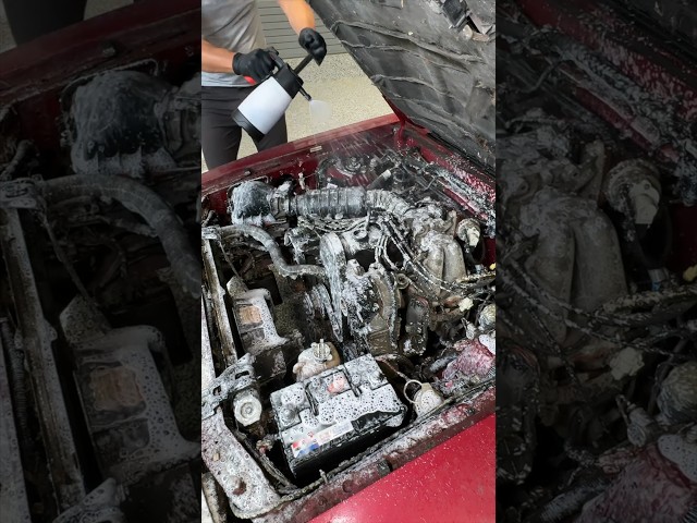 This Old Engine Bay Hasn't Been Touched in YEARS...