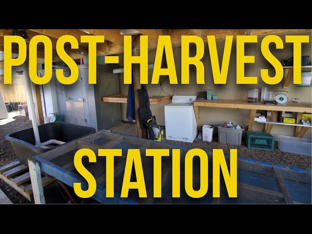 The Heart of the Farm: Exploring The Post Harvest Station