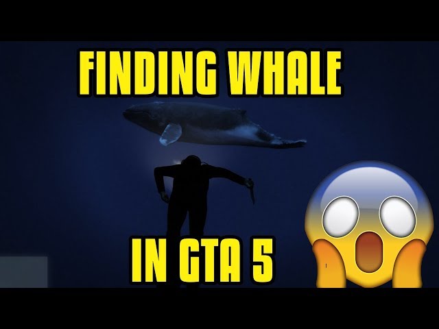 FINDING WHALE IN GTA 5 [HINDI]