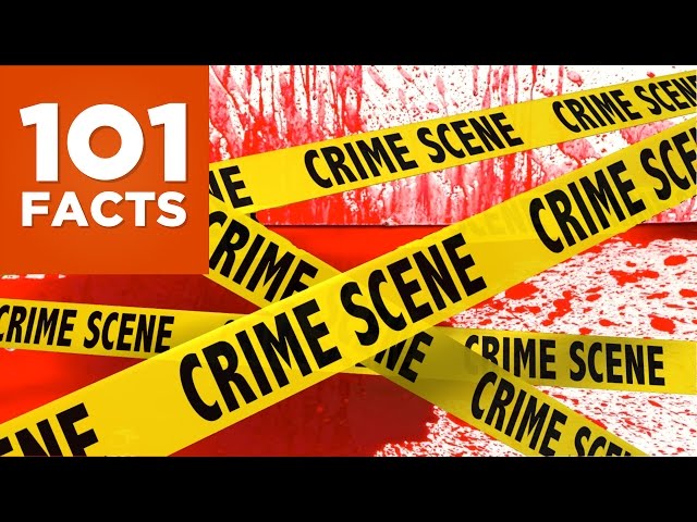101 Facts About Crime and Punishment