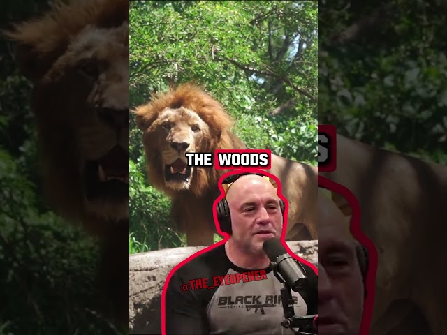 The Harsh Reality of Nature: Breaking Down Misconceptions with Forrest Galante and Joe Rogan