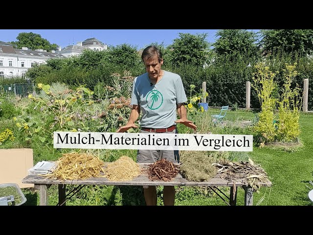 Perfekte Mulch-Materialien für den Gemüsegarten 💚 Gras, Schafswolle, Folien & Zeitungen als Mulch?!