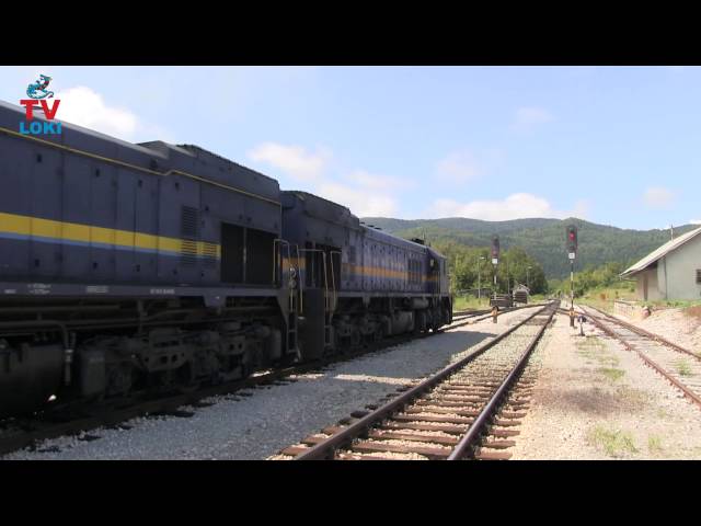 Diesel freight train in Croatia Ličko Lešće and workers