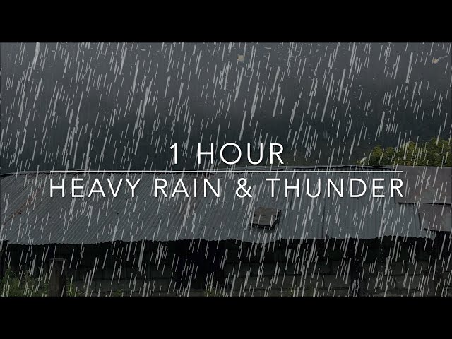 Sleeping Rain Sounds - Heavy Rain & Thunder - 1 Hour Rain - ASMR Sleep