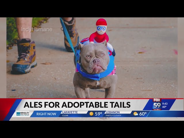 Ales for Adoptable Tails Festival benefits IndyHumane