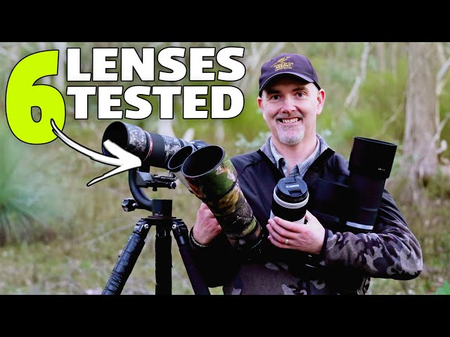 The BEST WILDLIFE Lenses Under $3k for Canon Mirrorless Cameras.