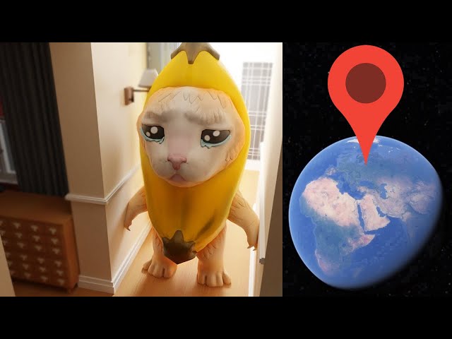 Banana Cat IN YOUR HOUSE on Google Earth!