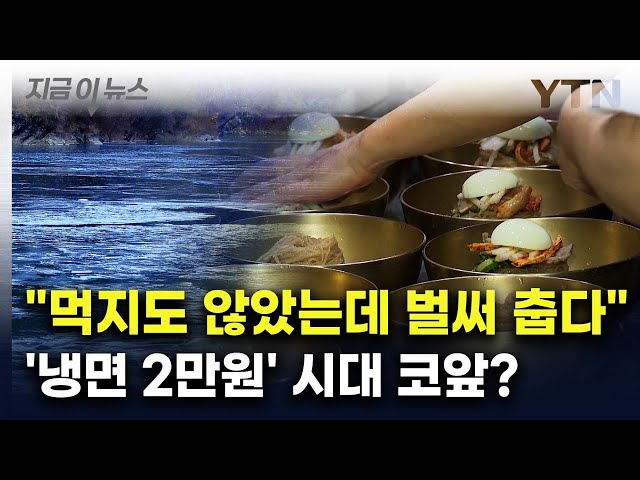 "서민 음식 아냐..." 유명 냉면집 가격 '이만큼' 올랐다 [지금이뉴스] / YTN