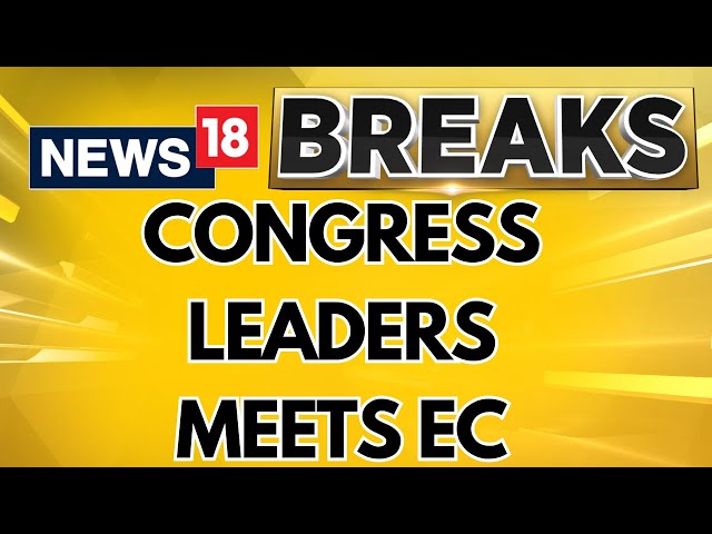 Congress Delegations Holds Press Conference After Meeting The EC | Lok Sabha Elections 2024