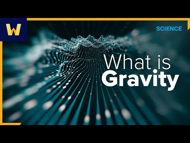 What is Gravity? | Wondrium Perspectives