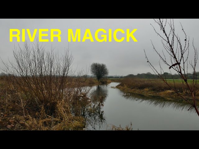 Great River Walk | Chelmer Navigation - Chelmsford to Maldon Essex (4K)