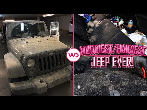 Muddy Jeep Details | WD Detailing