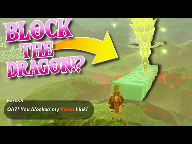 You Can STOP The Dragon?! Tears of the Kingdom Crazy Moments!