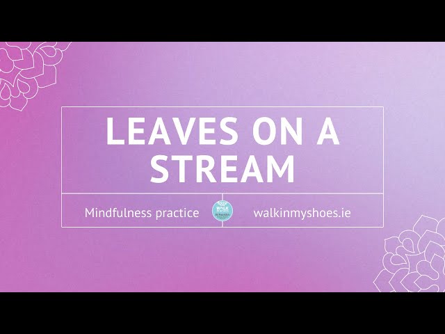 Leaves on a Stream | Mindfulness practice