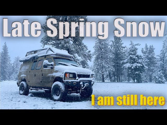 Late Spring Snowstorm - I am still here