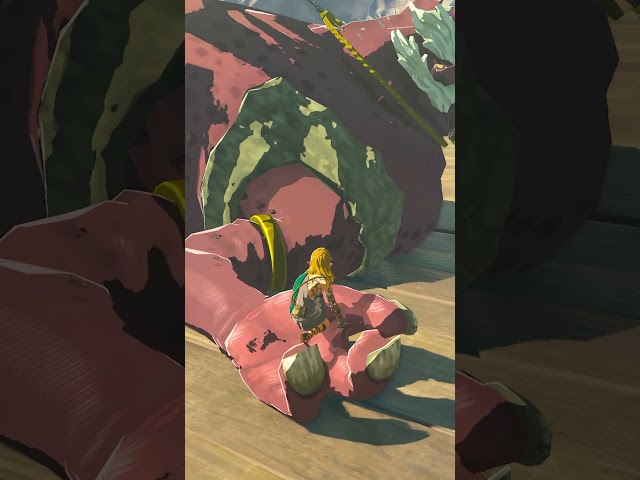 BotW's Best Feature returns in Tears of the Kingdom