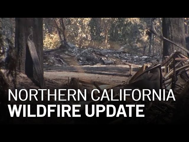 LIVE: Updates on California Wildfires, Evacuations [8/24 11 PM]