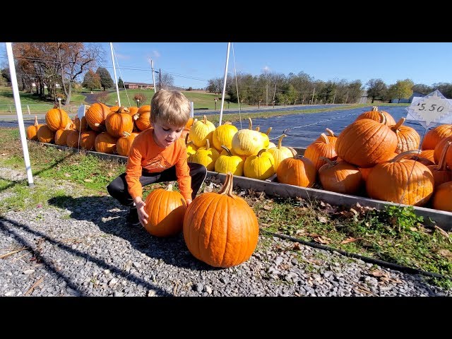 Greg & Clark's Pumpkin Carving Adventure