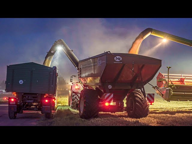 Claas Lexion 770 TT Combine Harvester and J&M Grain Cart | Wheat Harvest 2019