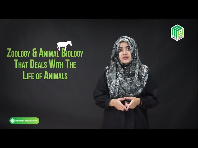 Miss Kainat - Zoology instructor at MyInterAcademy.com