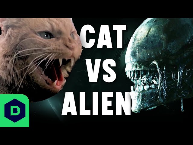 Can we survive the Alien RPG as Jonesy the cat?