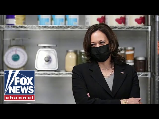 Kamala Harris still has no plans to visit border, will go to Northern Triangle