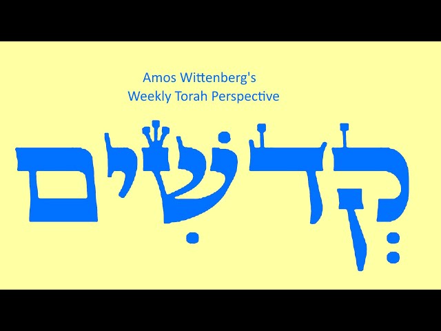 Perspectives on Kedoshim - the weekly Torah portion