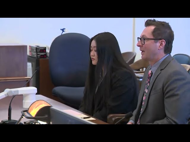 Aiden Leos case: Costa Mesa woman pleads guilty in deadly OC freeway shooting of 6-year-old boy