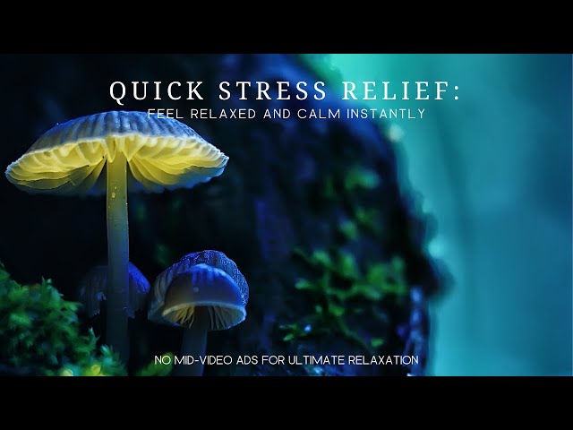 Quick Stress Relief | Feel Relaxed and Calm Instantly [50-Minute Relaxation Music]