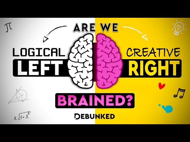 Can You Be LEFT Or RIGHT Brained? DEBUNKED