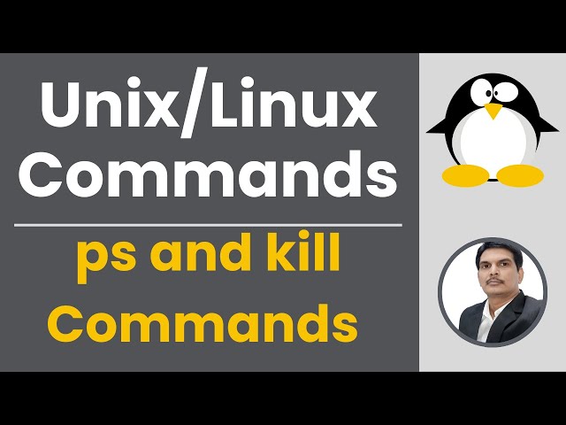 Part 13 - Unix/Linux for Testers | Process Commands - ps and kill