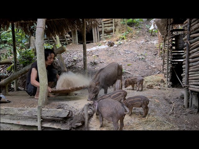 Frenzy Pounding Rice And Peeling seeds, Survival Instinct, Wilderness Alone, survival, Episode 150