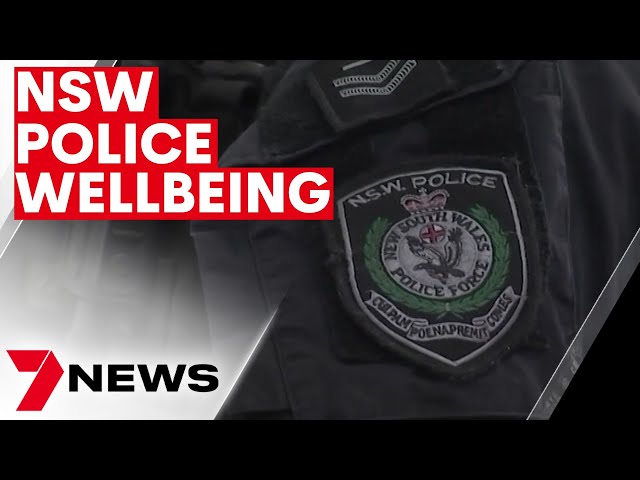 New package deal offers greater support to NSW Police | 7NEWS