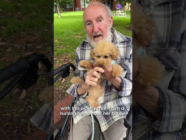 Puppy and Elderly Man share INCREDIBLE Bond!