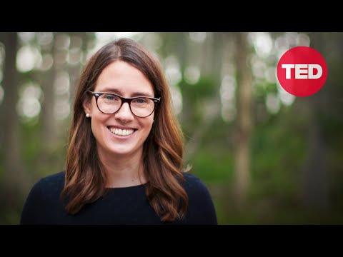 Susan Graham: A new way to restore Earth's biodiversity -- from the air | TED