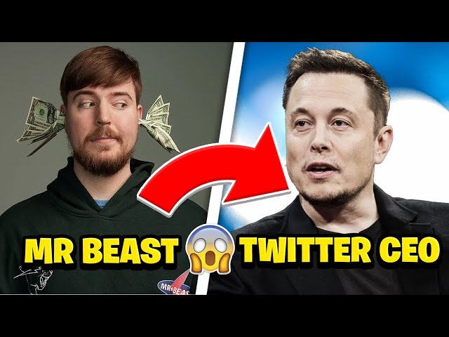 Elon Musk Responds To Mr Beast Wanting To Become Twitter CEO 😮