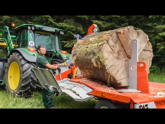 How Large Firewood Processor & Log Splitter Works? Amazing Woodworking Processing Line Machinery