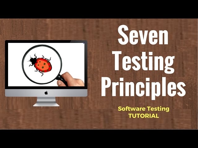 Seven Testing Principles: Software Testing