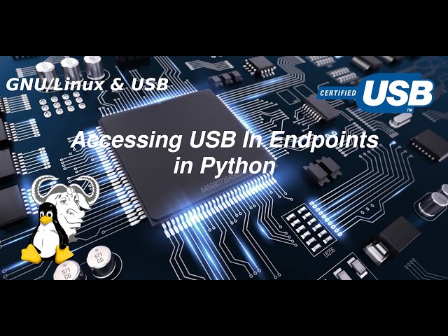 GNU/Linux & USB - Accessing USB In Endpoints in Python