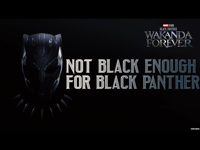 "Black Panther: Wakanda Forever Isn't For You"