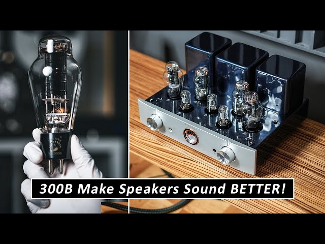 KILLER Affordable Tube Integrated Amplifier For Audiophile Home Sound Systems !