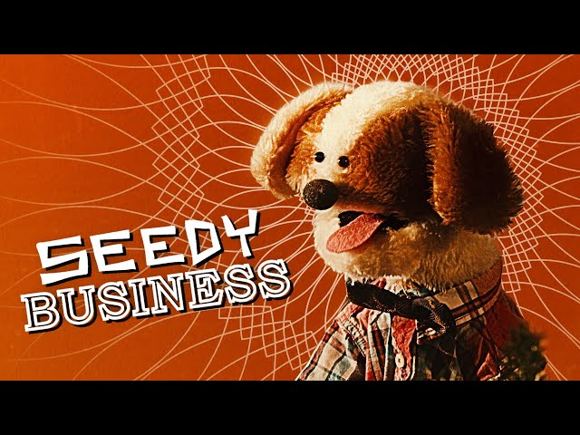 Miikshi | Seedy Business