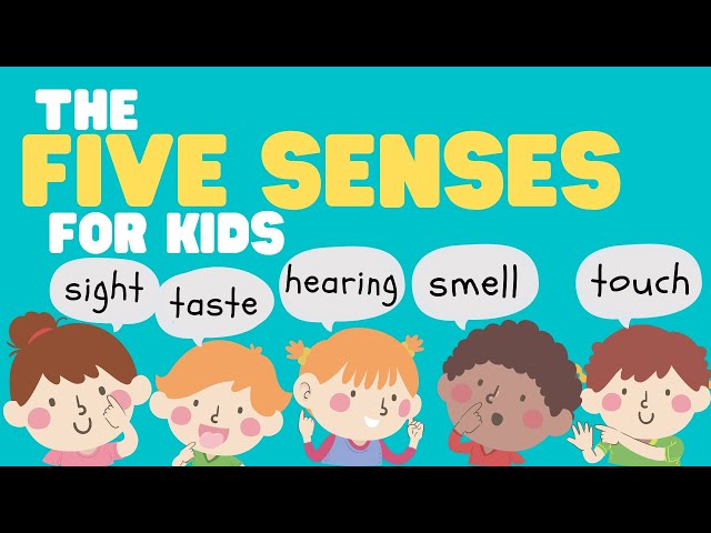 Five Senses for Kids | Learn all about the 5 Senses for kids | Sight, Sound, Smell, Taste, and Touch