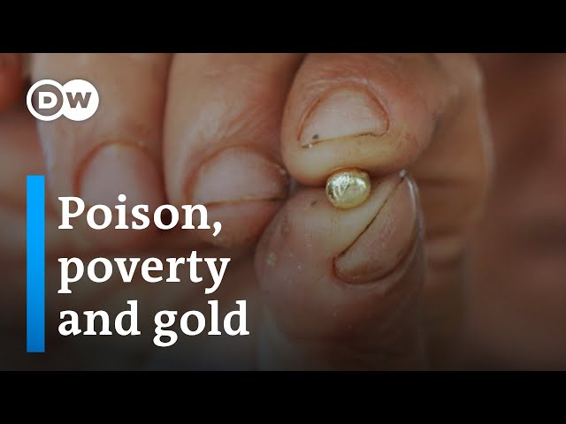 Illegal gold mining in Indonesia | DW Documentary