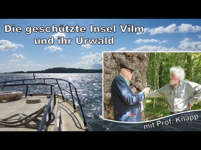 Warum brauchen wir Urwald? - Interview auf der Insel Vilm mit Prof. Knapp