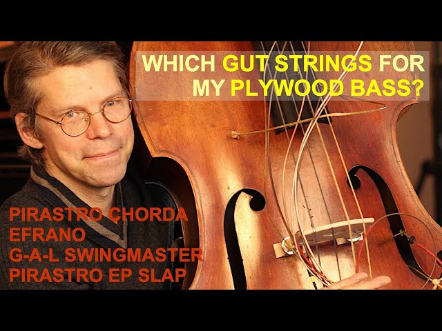 Which Gut Strings For My Plywood Bass? Chorda, Efrano, Swingmaster and Evah Pirazzi Slap compared!