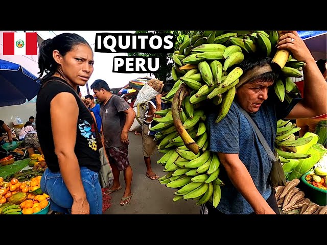 Peru'nun En PİS Pazarındayım - Amazon Şehri Iquitos