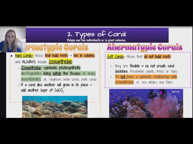 AICE Marine Science AS: 5.2 Tropical Coral Reefs (updated for the new syllabus)