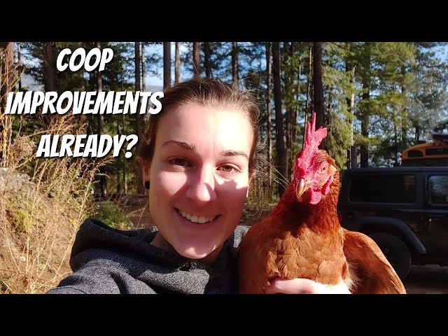 We Made A Mistake | Changing The Chicken Coop | Building A Poop Deck