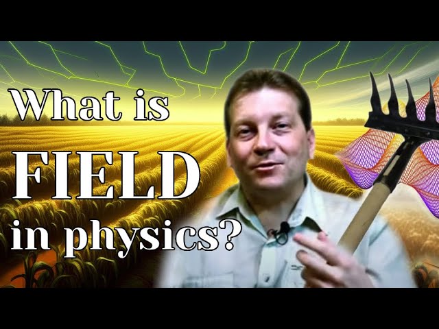 ⚡ What are fields in physics?